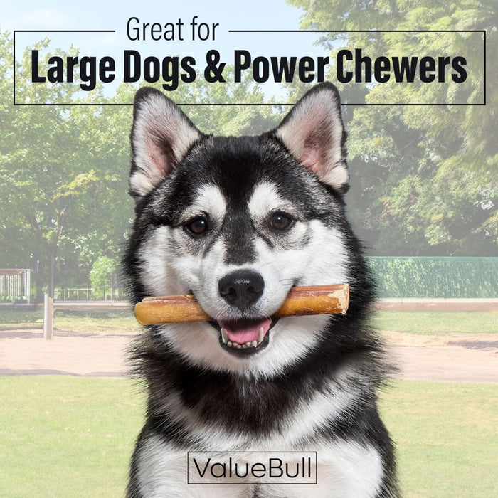 Value Pet Supplies ValueBull Bully Sticks for Large Dogs, Jumbo 6 Inch, 10 Count