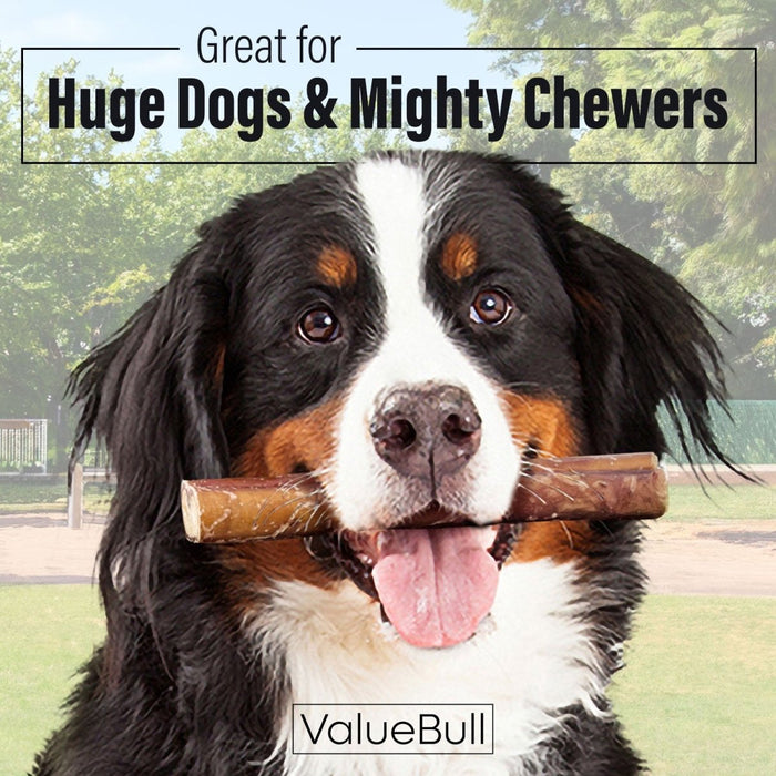 Value Pet Supplies ValueBull Bully Sticks for Large Dogs, Super Jumbo 6 Inch, 10 Count