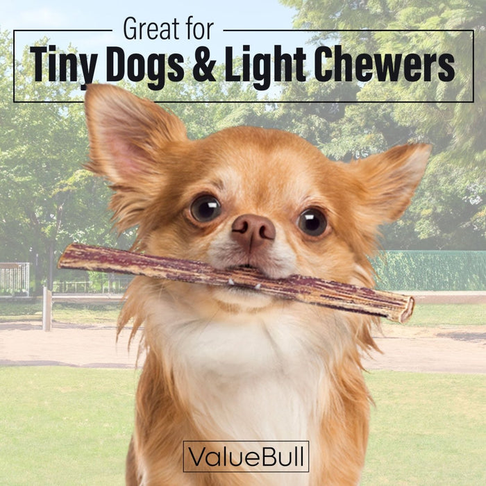 Value Pet Supplies ValueBull Bully Sticks for Small Dogs, Extra Thin 6 Inch, 50 Count
