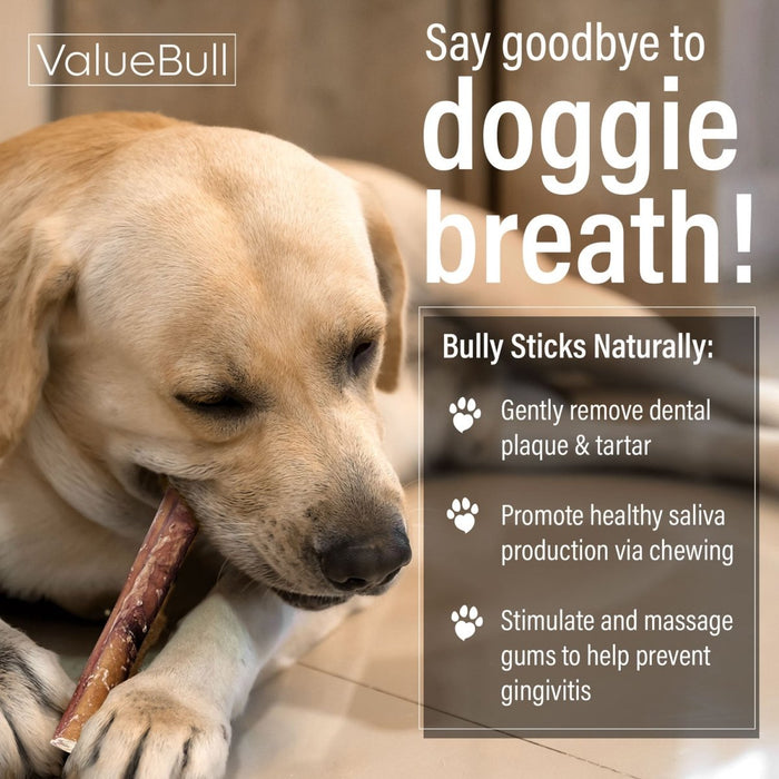 Value Pet Supplies ValueBull Bully Sticks for Large Dogs, Jumbo 12 Inch, 25 Count