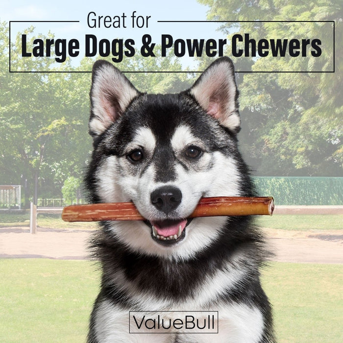 Value Pet Supplies ValueBull Bully Sticks for Large Dogs, Jumbo 12 Inch, 25 Count
