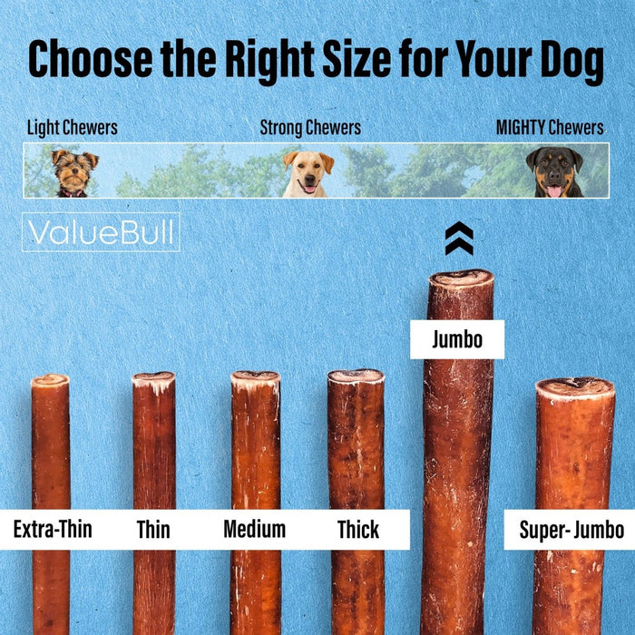 Value Pet Supplies ValueBull Bully Sticks for Large Dogs, Jumbo 12 Inch, 25 Count