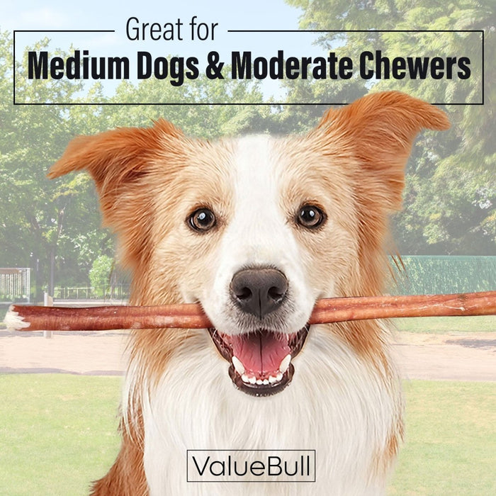 Value Pet Supplies ValueBull Bully Sticks for Dogs, Medium 12 Inch, 25 Count