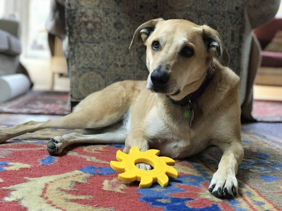 Industrial Dog Circular Saw Blade  Ultra Durable Nylon Dog Chew Toy