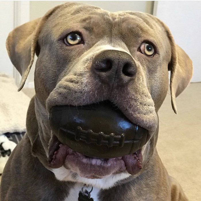 Mutts Kick Butt Football eDispenser Durable Rubber Chew Toy and Treat Dispenser