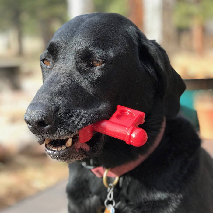 Mutts Kick Butt Key to My Heart Ultra Durable Nylon Dog Chew Toy