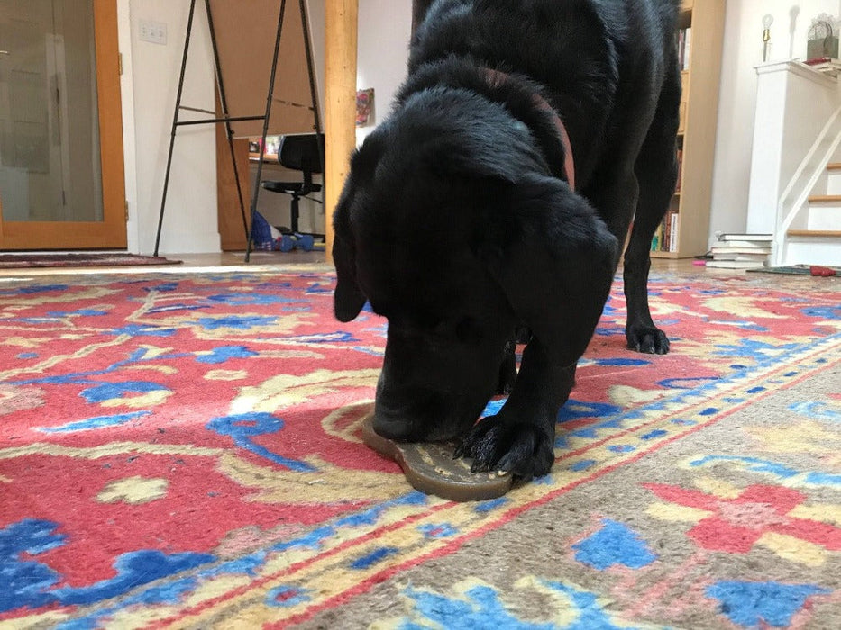 SodaPup Peanut eChew Ultra Durable Nylon Dog Chew Toy