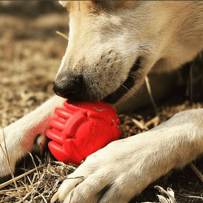 SodaPup USA-K9 Stars and Stripes Ultra-Durable Rubber Chew Ball
