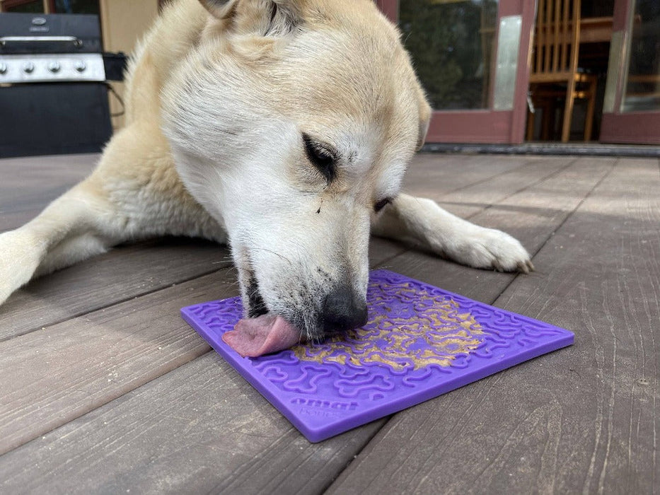 SodaPup Bones Design eMat Enrichment Lick Mat