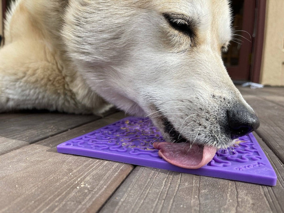 SodaPup Bones Design eMat Enrichment Lick Mat