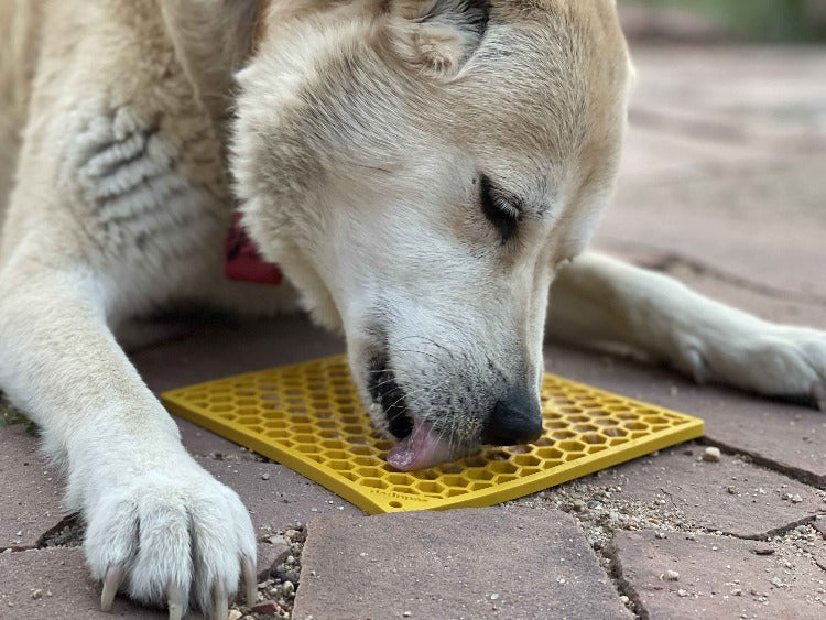SodaPup Honeycomb Design Emat Enrichment Lick Mat