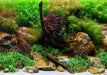 Seaview Double Sided Background Aqua Garden & Bright Stone 18 Inches X 50 Feet - Image 2
