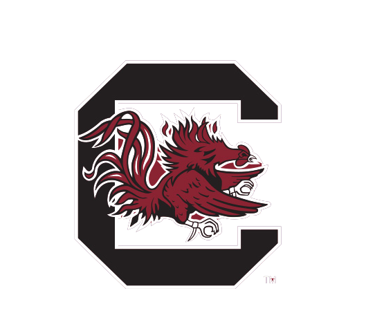 HuggleHounds NCAA University of South Carolina, Cocky Knottie® Plush Dog Toy