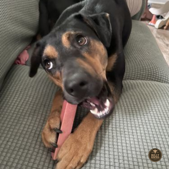 Bully Bunches Strawberry Himalayan Yak Chew (MEDIUM)