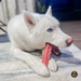 Bully Bunches Himalayan Yak Chew Flavor Pack - 2 - Image 15