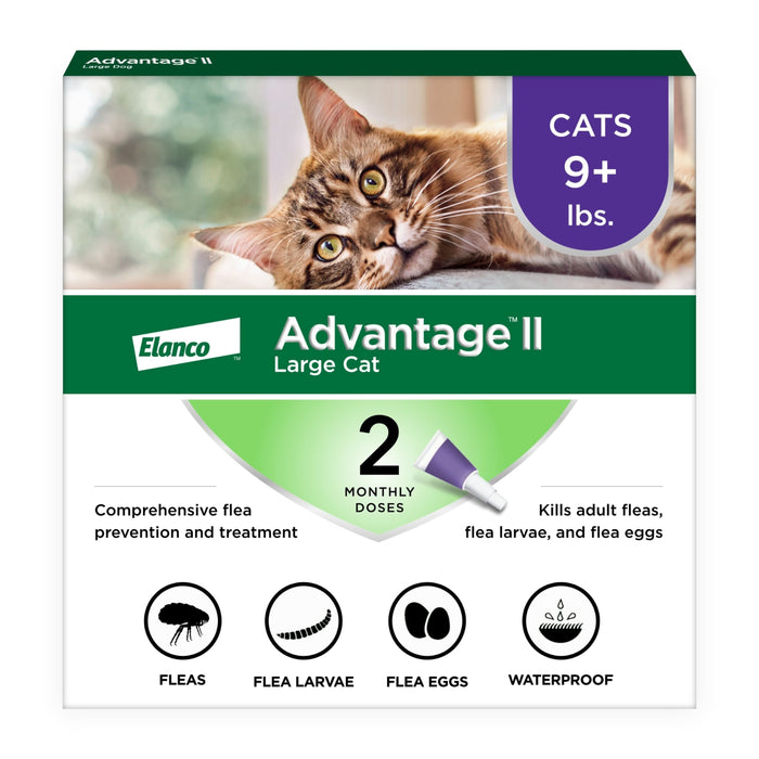 Elanco Advantage II Topical Flea Treatment & Prevention for Cats 2-Month Supply LG Cats (Over 9lbs) - Image 2