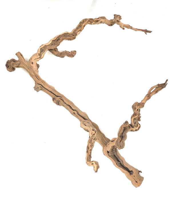 Sublime Vines Sandblasted Grapevine Decor XL