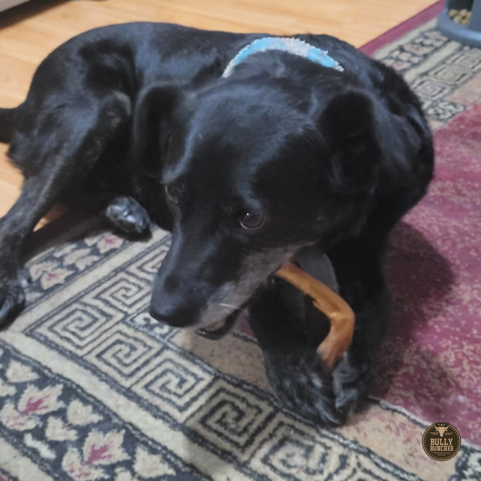 Bully Bunches Beef Tendon