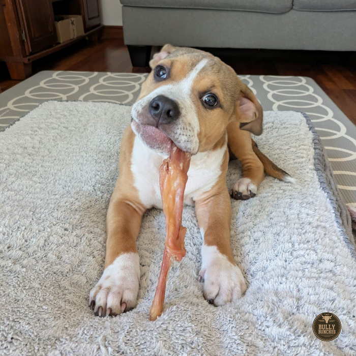 Bully Bunches Beef Tendon
