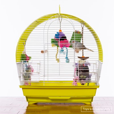 Prevue Pet Products Soho Dometop Roof Cockatiel Cage, Chartreuse & White