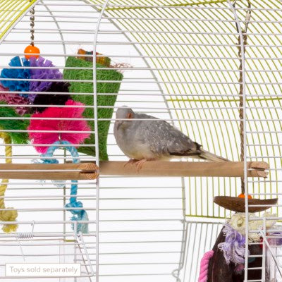 Prevue Pet Products Soho Dometop Roof Cockatiel Cage, Chartreuse & White