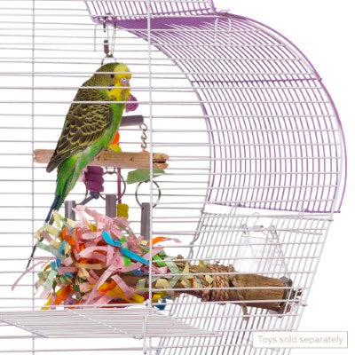 Prevue Pet Products Palm Beach Scallop Roof Budgie Cage, Purple & White