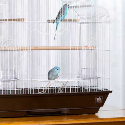 Prevue Pet Products Keet/Tiel Cascade Roof Bird Cage
