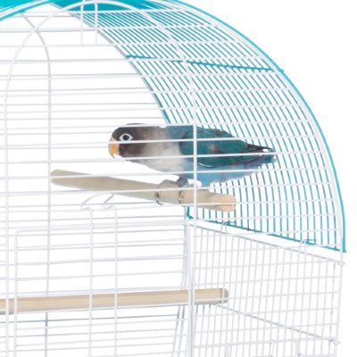 Prevue Pet Products South Beach Dome Top Bird Cage