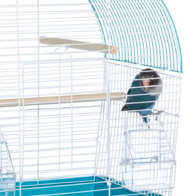 Prevue Pet Products South Beach Dome Top Bird Cage