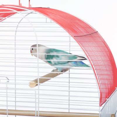 Prevue Pet Products South Beach Dome Top Bird Cage
