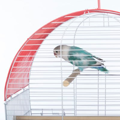 Prevue Pet Products South Beach Dome Top Bird Cage