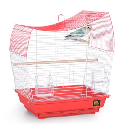 Prevue Pet Products South Beach Wave Top Bird Cage