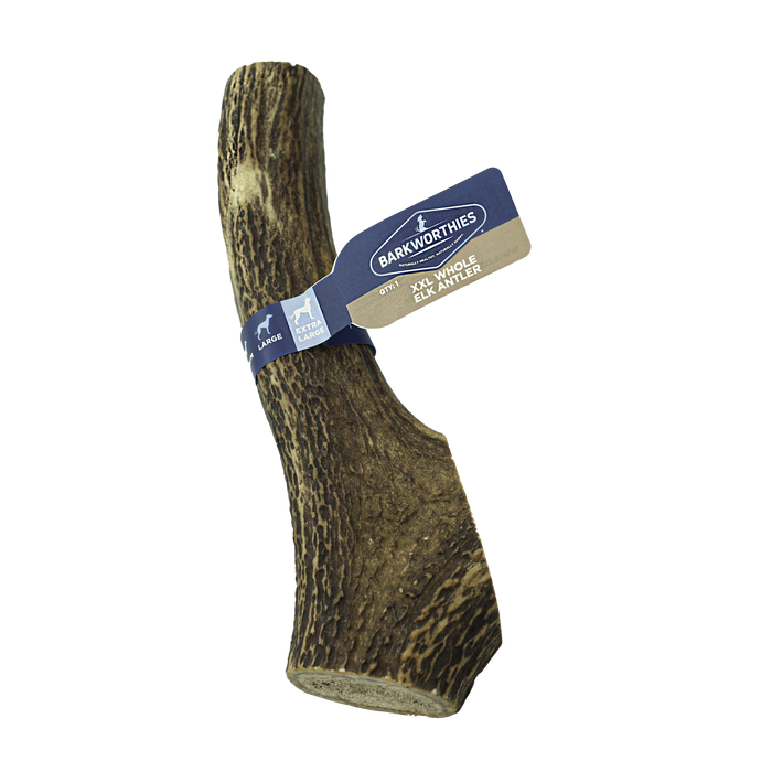Barkworthies Whole Elk Antler Dog Treat 2XL - Image 2