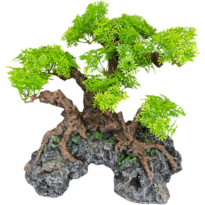 Komodo Bonsai Tree w/ Hide 18in