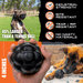 Monster K9 Dog Toys Rumble Ball - 2 - Image 8