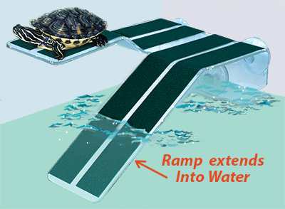 Kordon Turtle Ramp Green/Clear LG