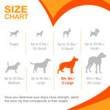 Nylabone Strong Chew Textured Knuckle Bone Dog Chew Toy 70th Birthday Orange Swirl Bacon & Cheese X-Large (1 Count)