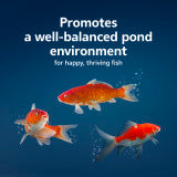 Aqueon Pure Pond Bomb 1-pack