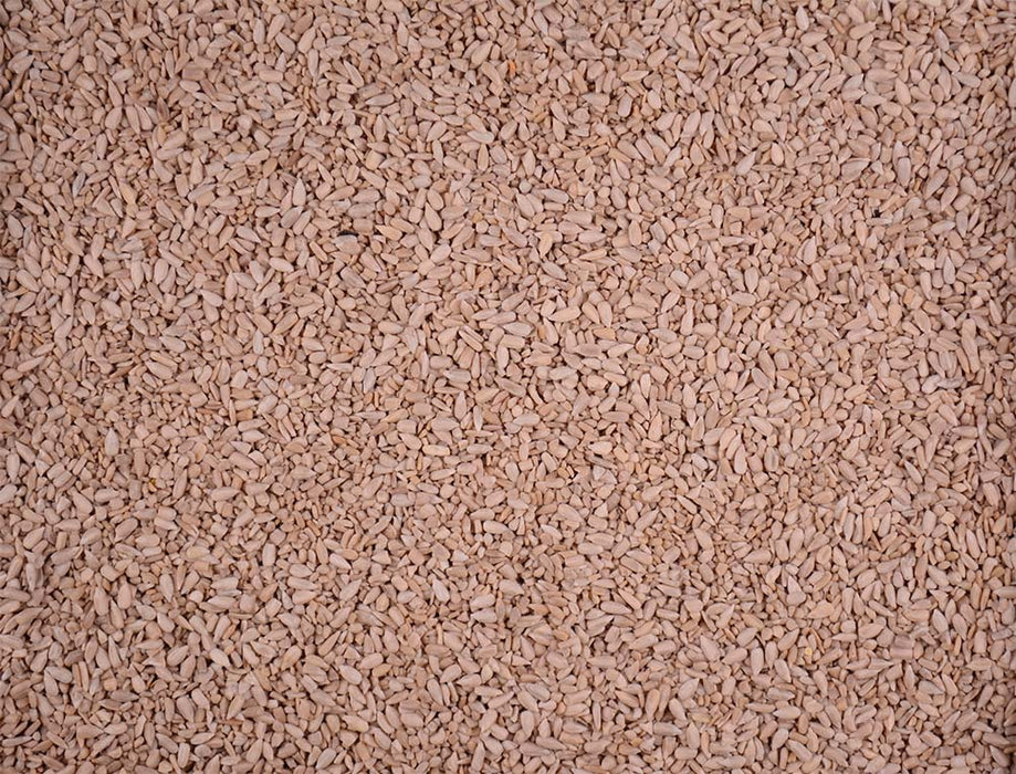 Volkman Seed Company Winner's Cup Single Seed Sunflower Chips Bird Food 20lb MD