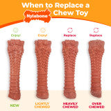 Nylabone Power Chew Donut Dog Chew Toy 70th Birthday Orange Pumpkin & Peanut Butter Large (1 Count)