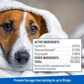 Adams Flea & Tick Cleansing Shampoo Clear 12 Ounces