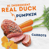 Natural Balance Pet Foods Original Ultra Platefulls Wet Dog Food Pouch Savory Duck & Pumpkin Recipe 9oz (Pack of 12)