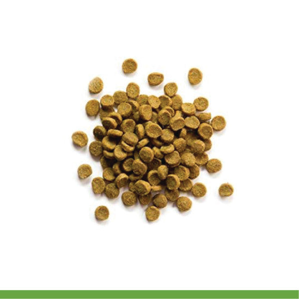 ZuPreem Premium Ferret Diet Dry Food 4lb