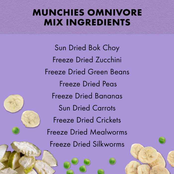 Zilla Desert Habitat Accessory Kit