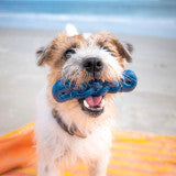 Nylabone Power Chew Love Our Oceans Infinity Braid Bone Dog Chew Toy Bully Stick Small (1 Count)