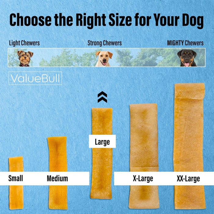 Value Pet Supplies ValueBull Himalayan Yak Cheese Dog Chews, Large, 2 lb