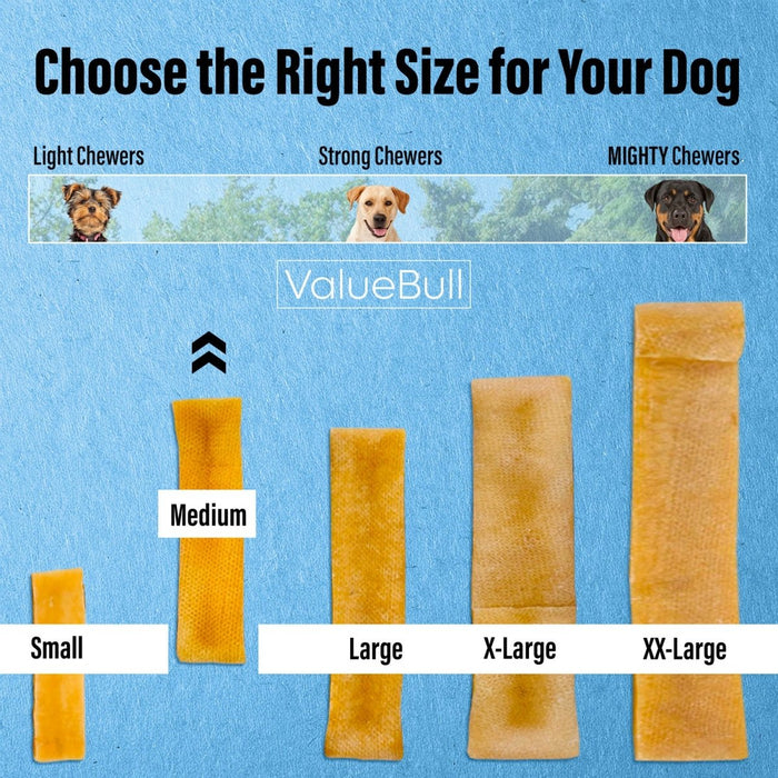 Value Pet Supplies ValueBull Himalayan Yak Cheese Dog Chews, Medium - 10 ct