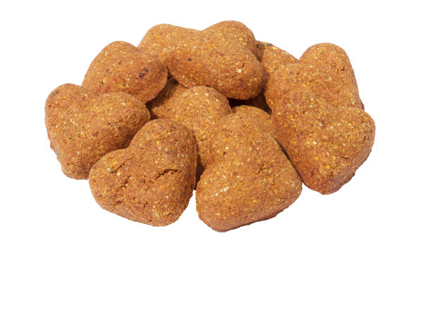 Darford Grain Free Dog Biscuits Salmon Recipe Regular 12 oz