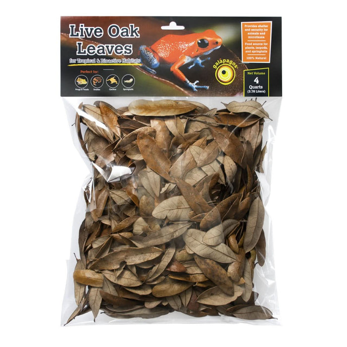 Galapagos Natural Live Oak Leaf Litter 4qt