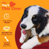 Nylabone Strong Chew Femur Bone Dog Chew Toy Made with Real Bison & Venison Large (1 Count)